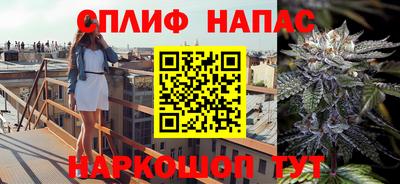 индика Апшеронск
