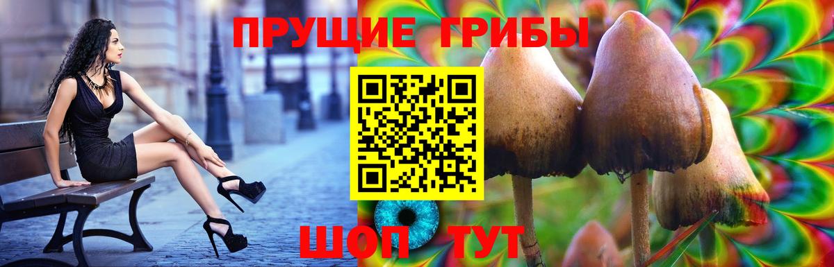 Бугульма  Галлюциногенные грибы ЛСД  Вход с VPN 
